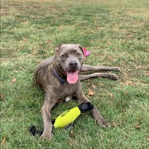 Meet your Posher, Brady